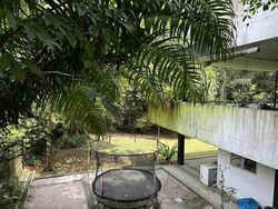 White House Park (D10), Detached #534249131